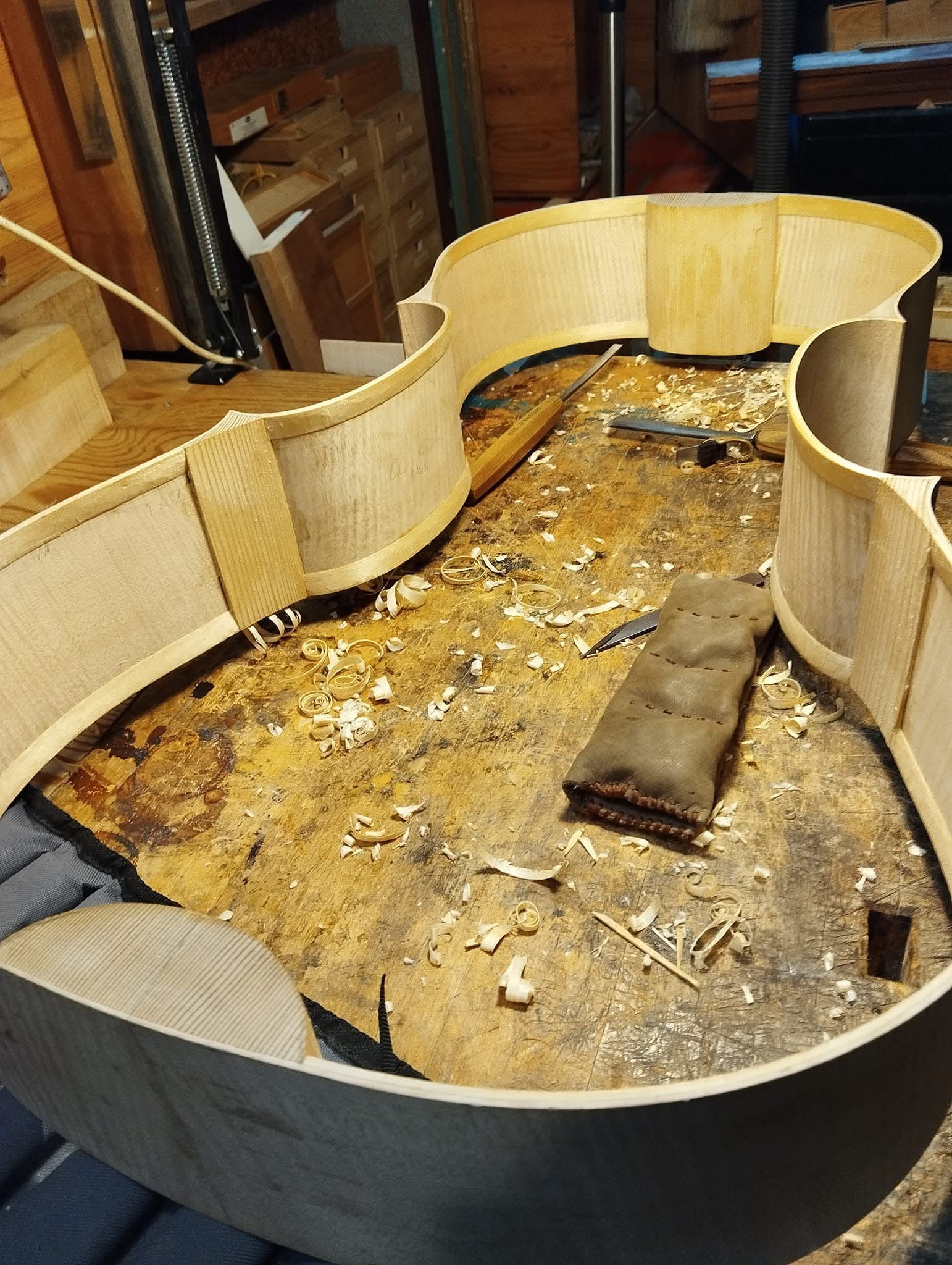 Construction of the ribs and body of a string instrument by Fabio Nicotra