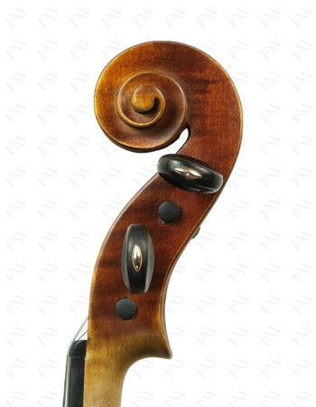 violino-fatto-par-G.-Apparut-1942-riccio-corr