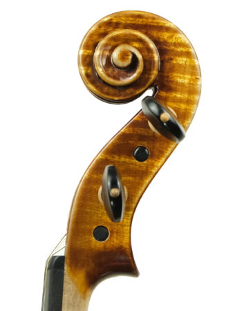 violino_nicotra-2025_riccio-corretto