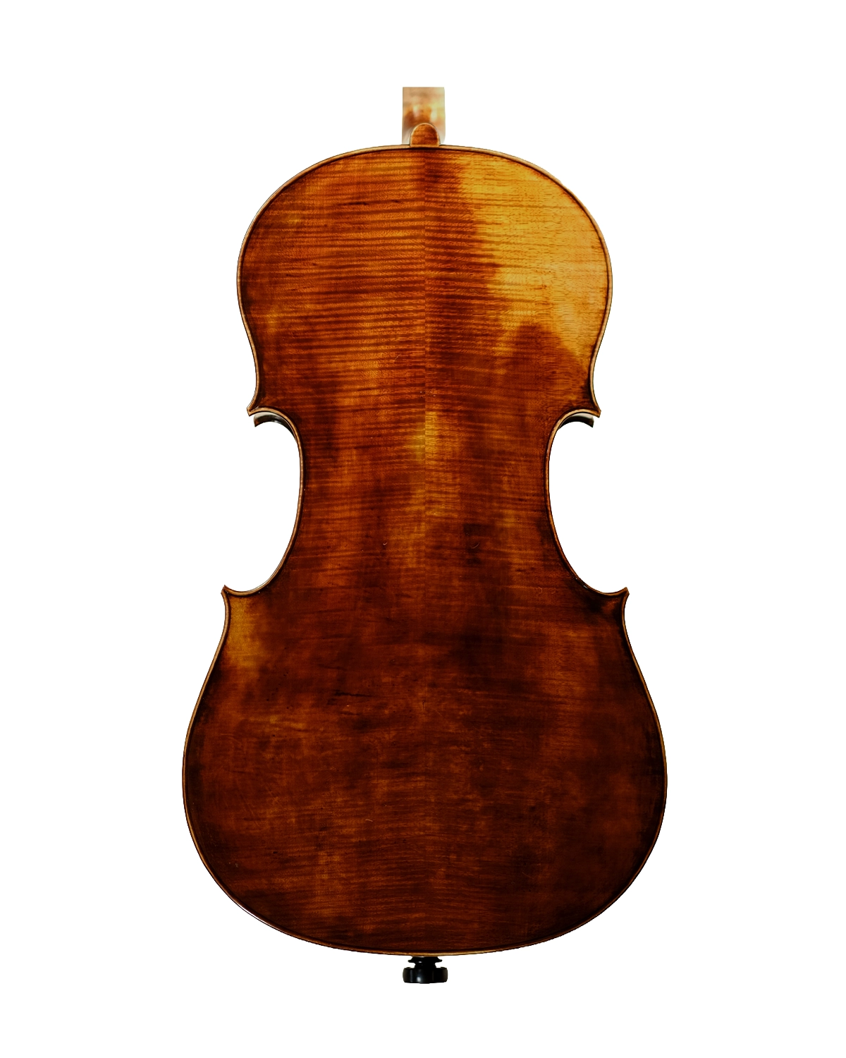 Back of Fabio Nicotra cello inspired by Alessandro Gagliano Naples 1704