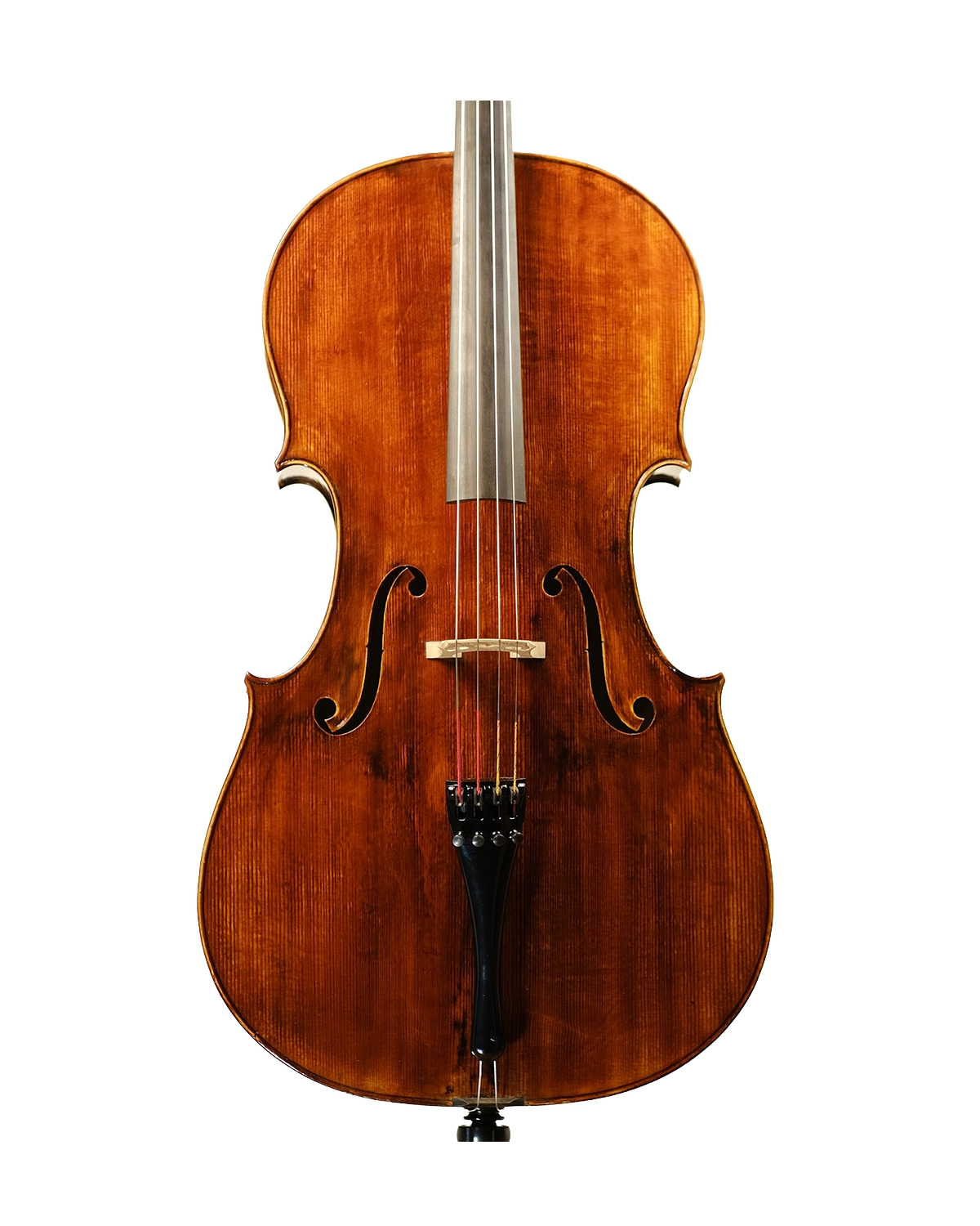 Cello inspired by Alessandro Gagliano Naples 1704, 2024