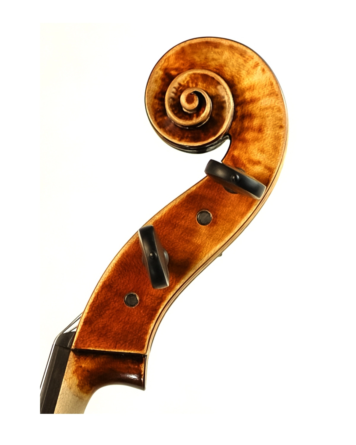 Scroll detail of Fabio Nicotra cello inspired by Alessandro Gagliano Naples 1704