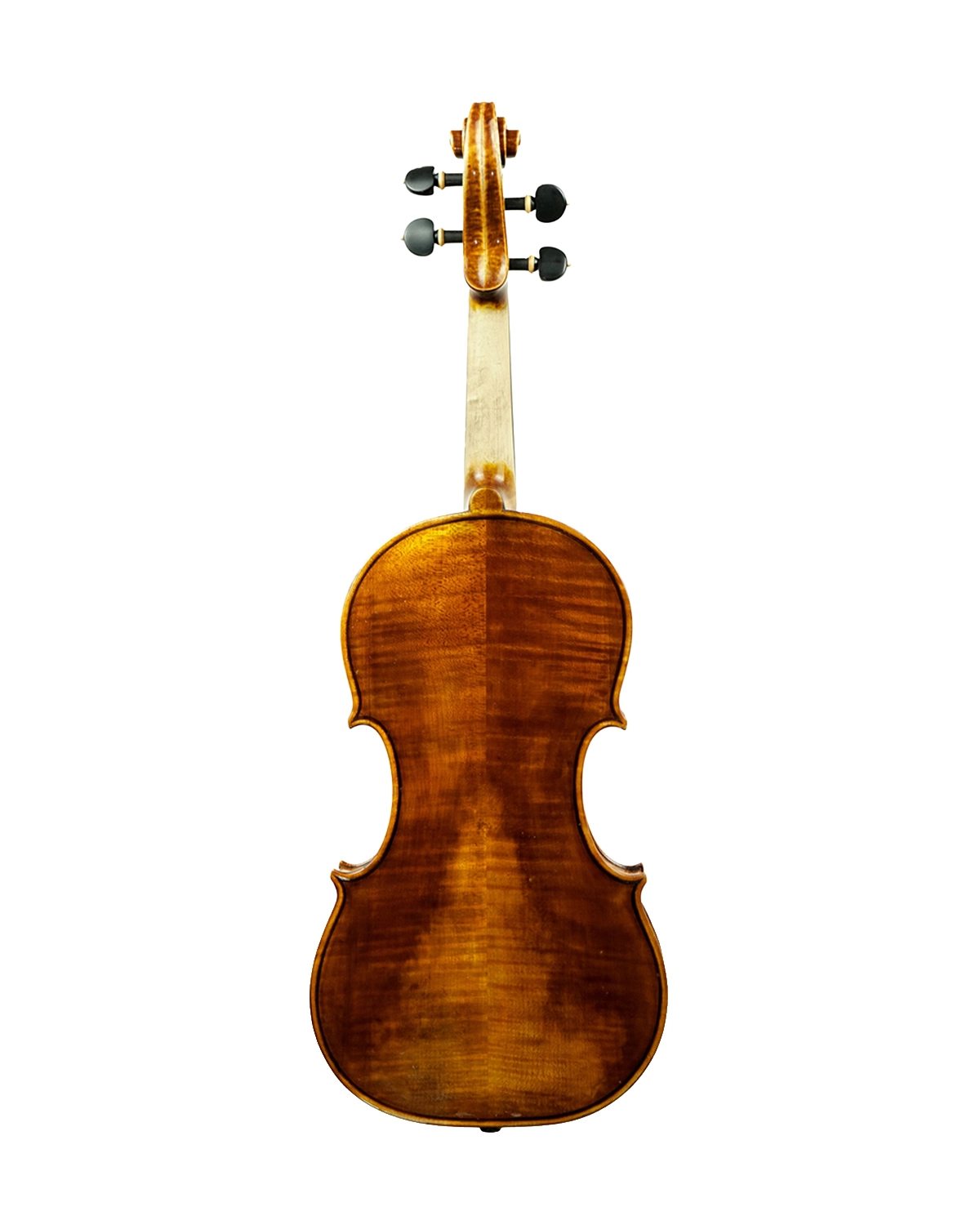 Back of Fabio Nicotra violin inspired by Guarneri del Gesù Cannone, Palermo 2025