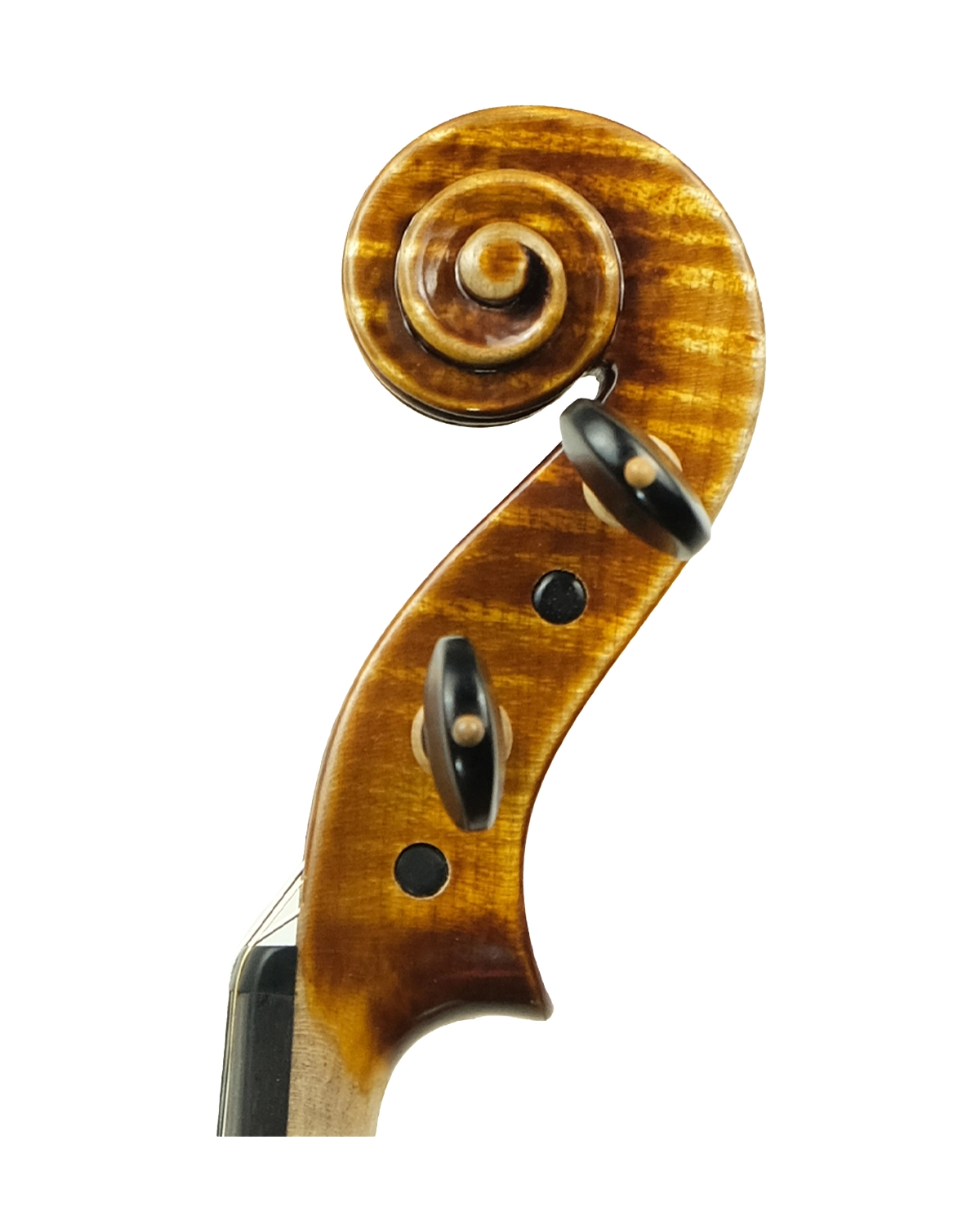 Scroll detail of Fabio Nicotra violin inspired by Guarneri del Gesù Cannone, Palermo 2025