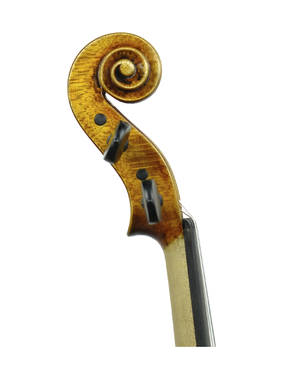 Scroll detail of Fabio Nicotra violin inspired by Guarneri del Gesù Cannone, Palermo 2023