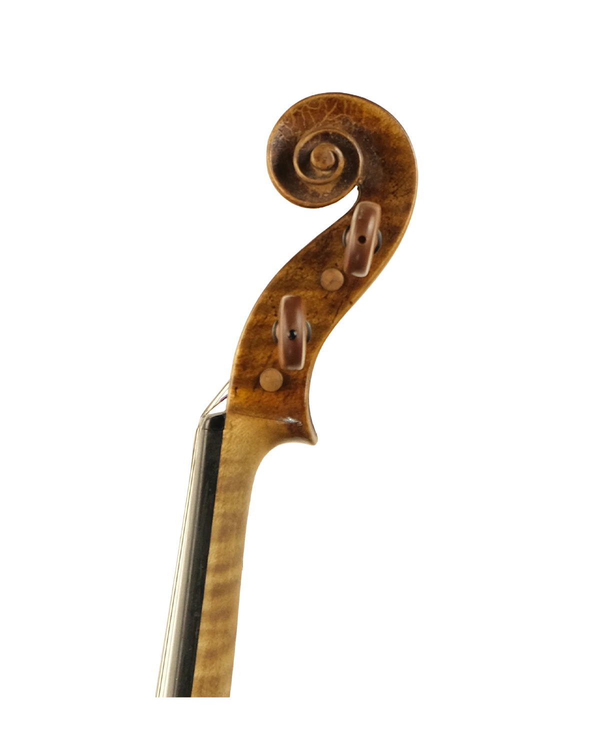 Scroll detail of late 19th-century German violin