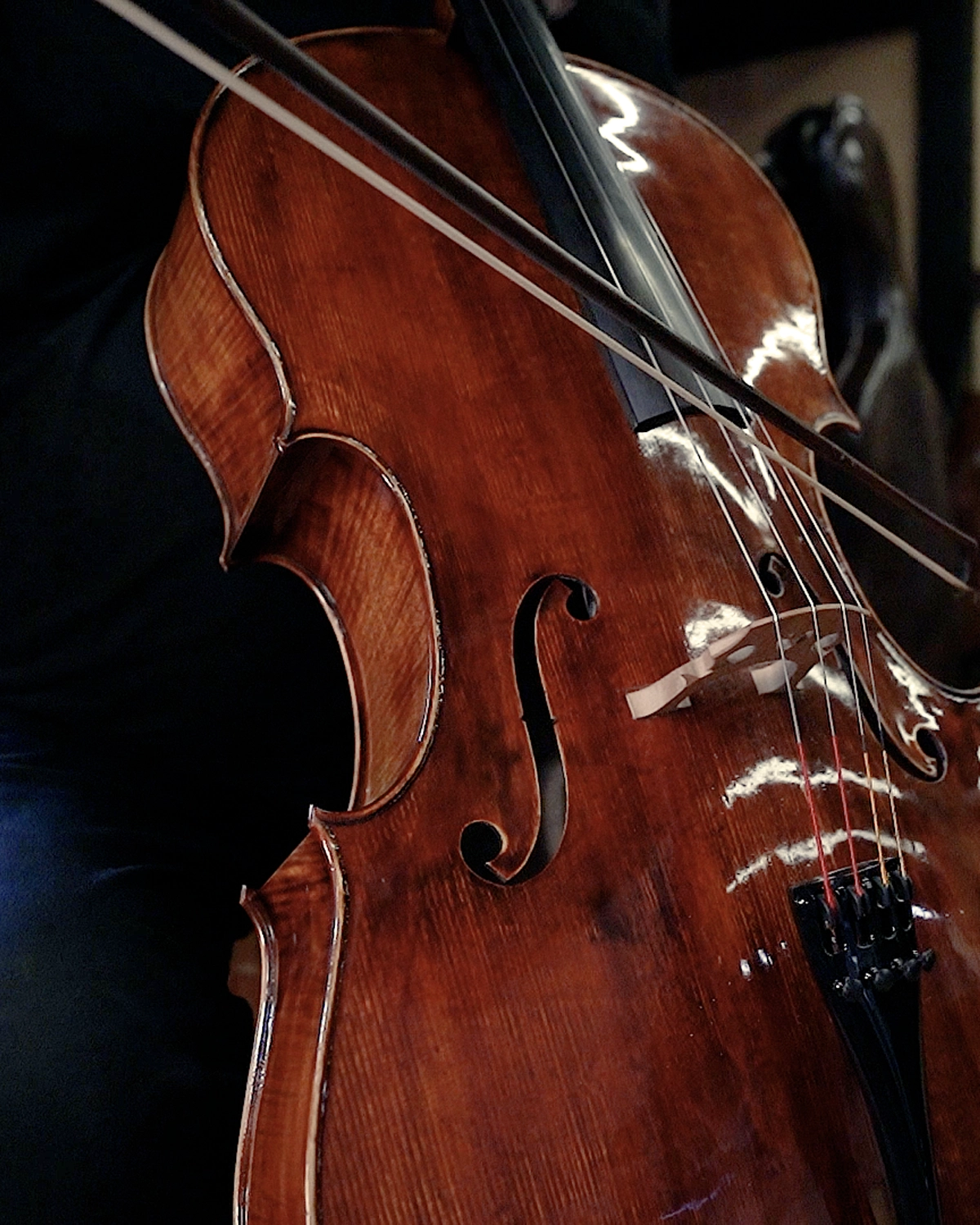 Fabio Nicotra cello in his violin-making atelier in Palermo, Sicily