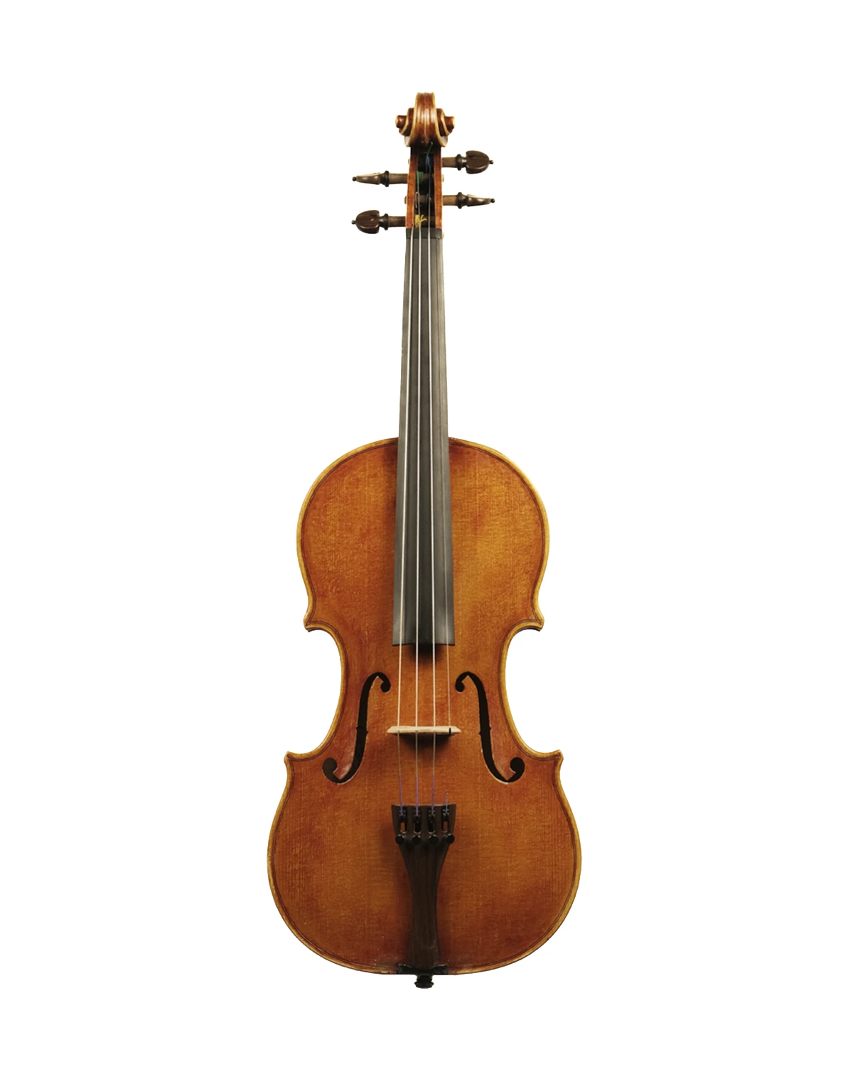 Violin by Giovanni Osvaldo Fiori, Treviso 2018, front view
