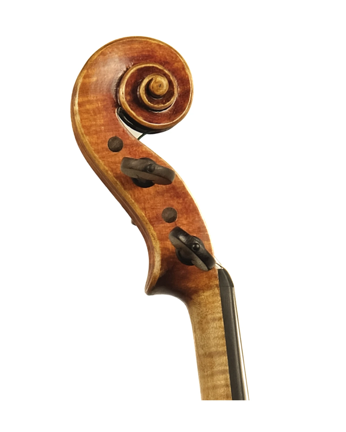 Scroll detail of Giovanni Osvaldo Fiori violin, Treviso 2018