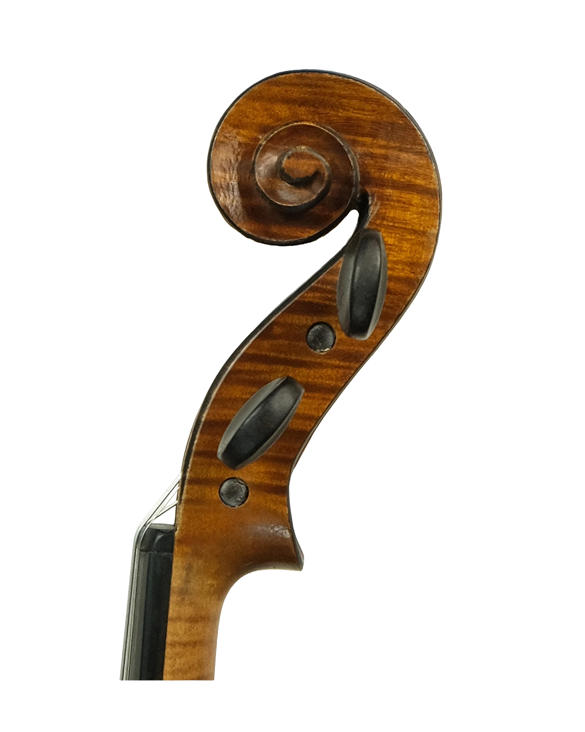 Scroll detail of Charles J.B. Collin-Mézin violin, Paris 1892