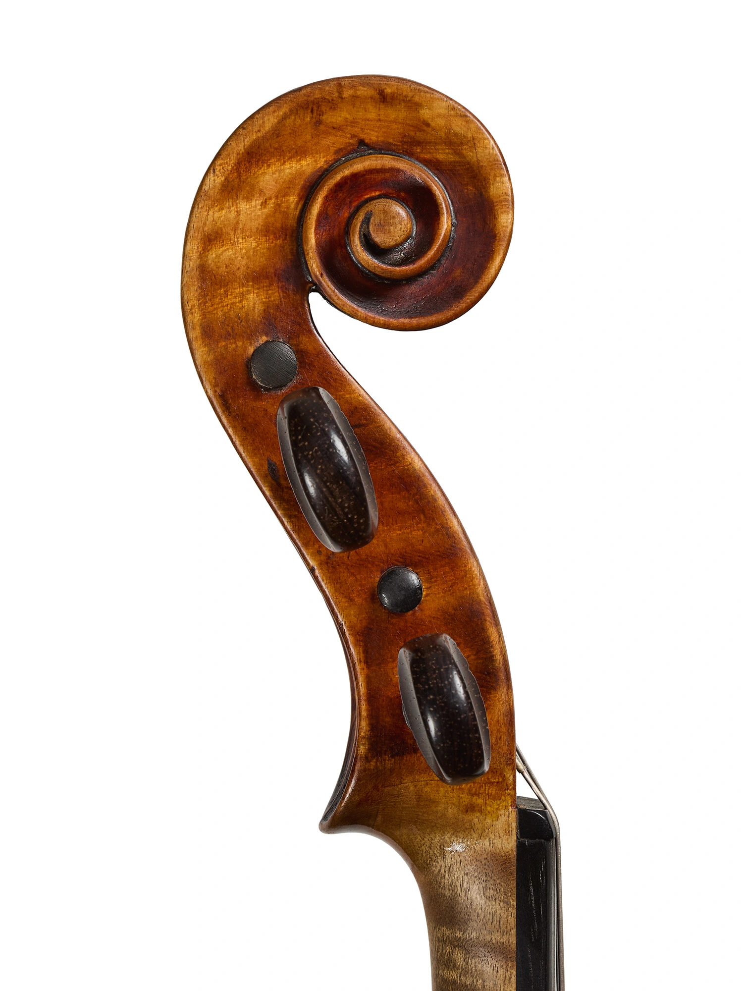 Scroll detail of F. J. Koch violin, Dresden 1921
