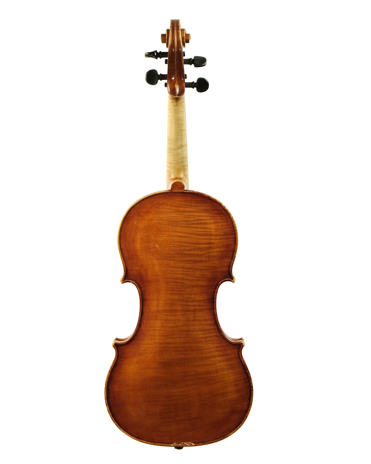 Back of Federico Michelagnoli violin, Florence 1979