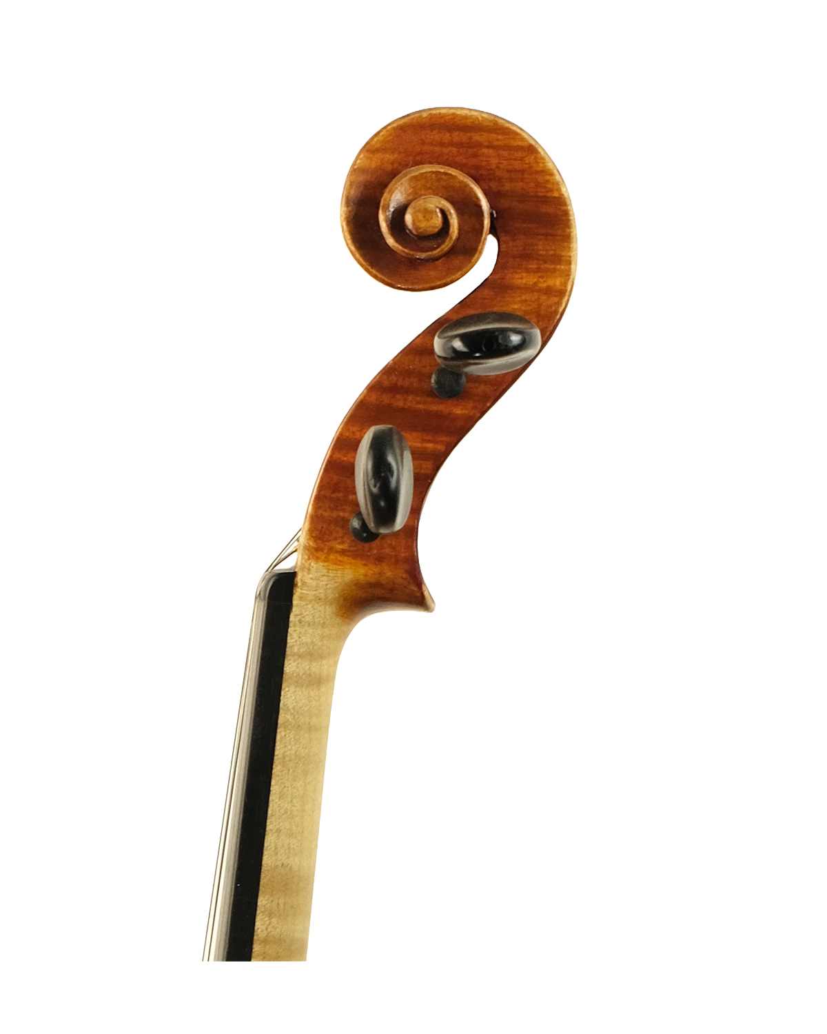 Scroll detail of Federico Michelagnoli violin, Florence 1979