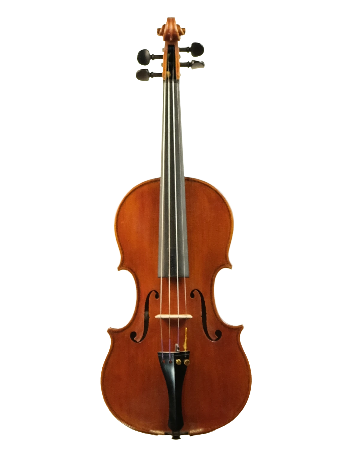 Violin by Antonina Calderone, Palermo 2010