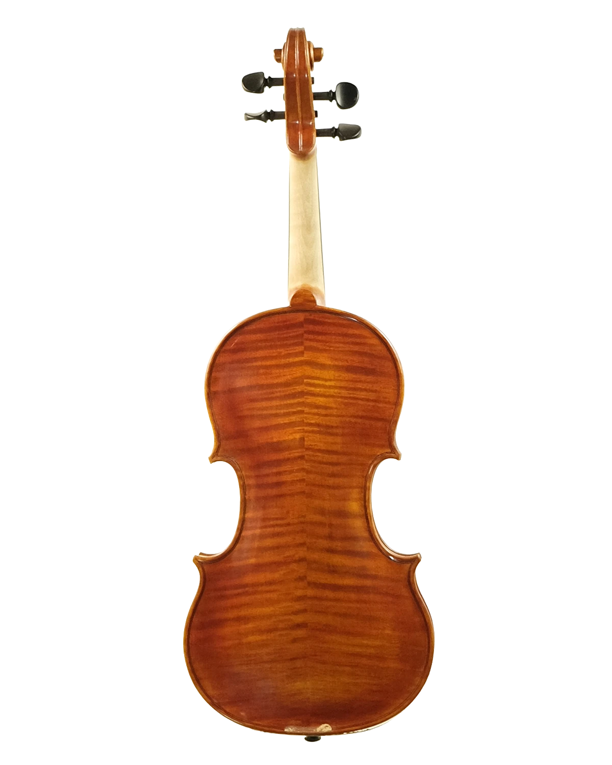 Back of Antonina Calderone violin, Palermo 2010