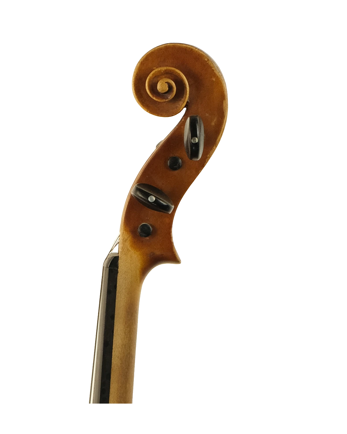 Scroll detail of Camillo Di Leo violin, Palermo circa 1920