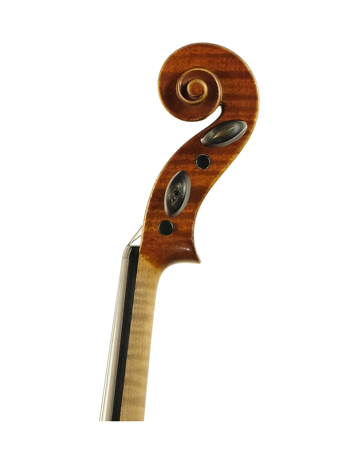 Scroll detail of Cesare Magrini violin, Bologna 1983