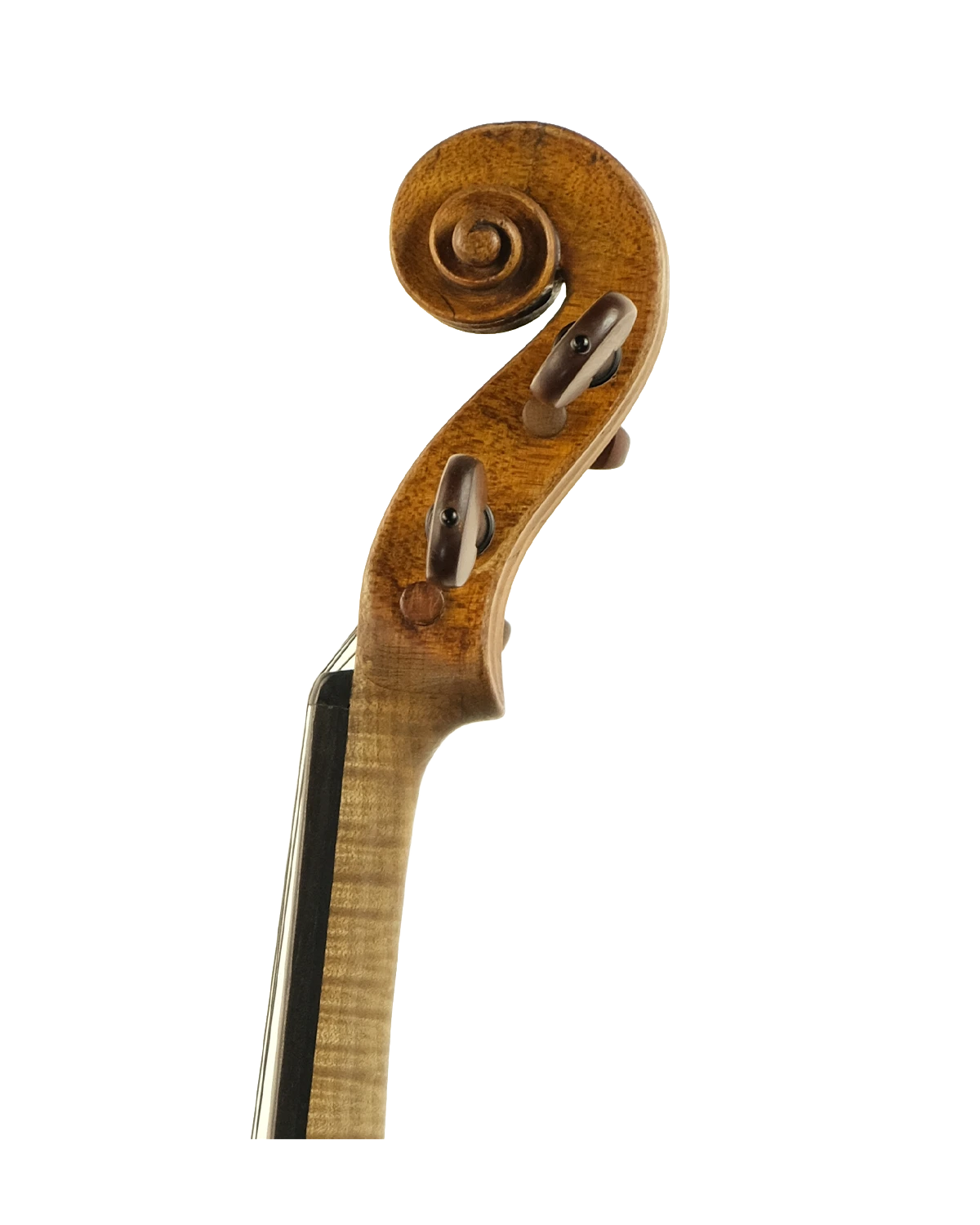 Scroll detail of Louis Guersan violin, Paris 1756