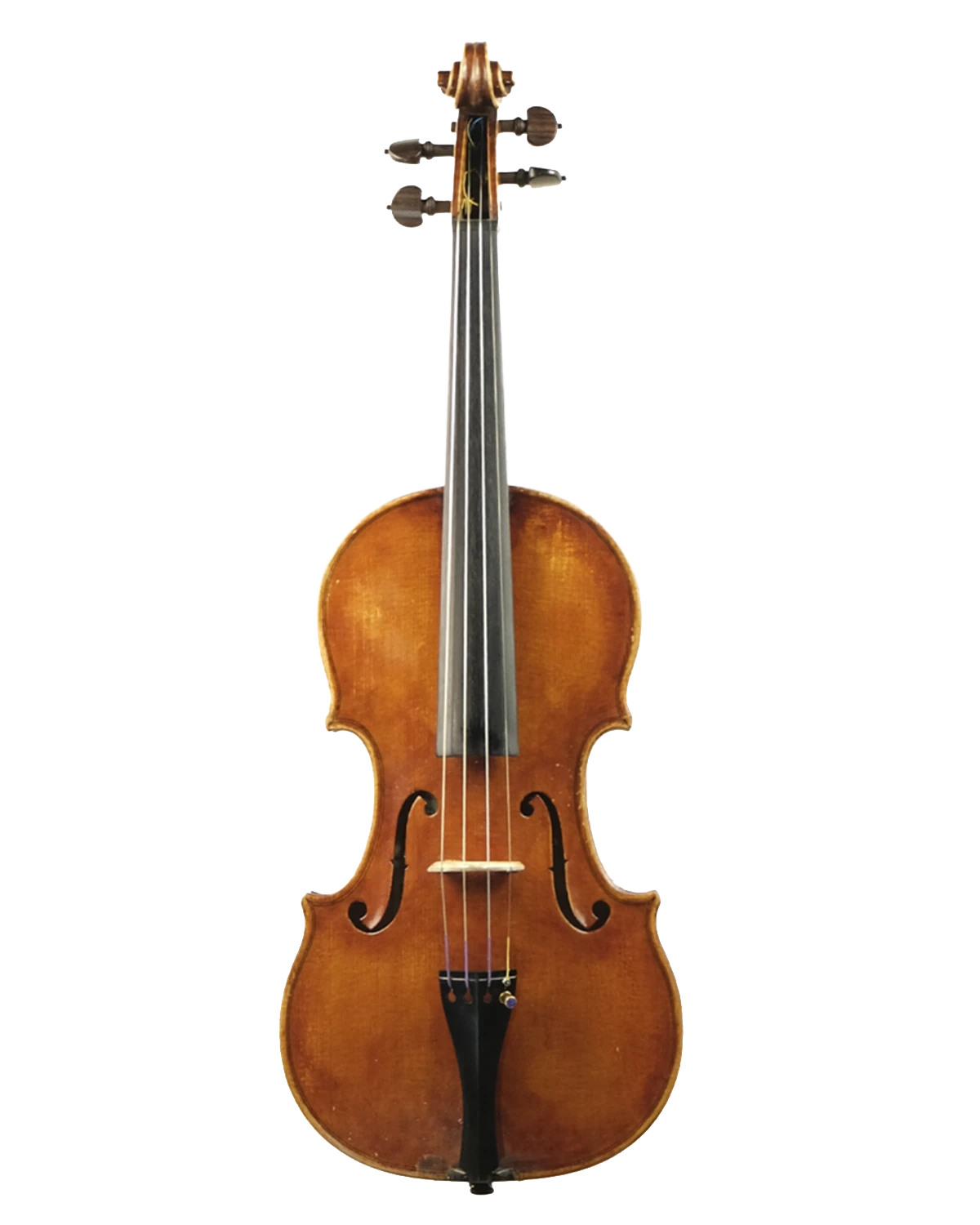 Violin by Giovanni Osvaldo Fiori, Treviso 2020, Ex Mezzena
