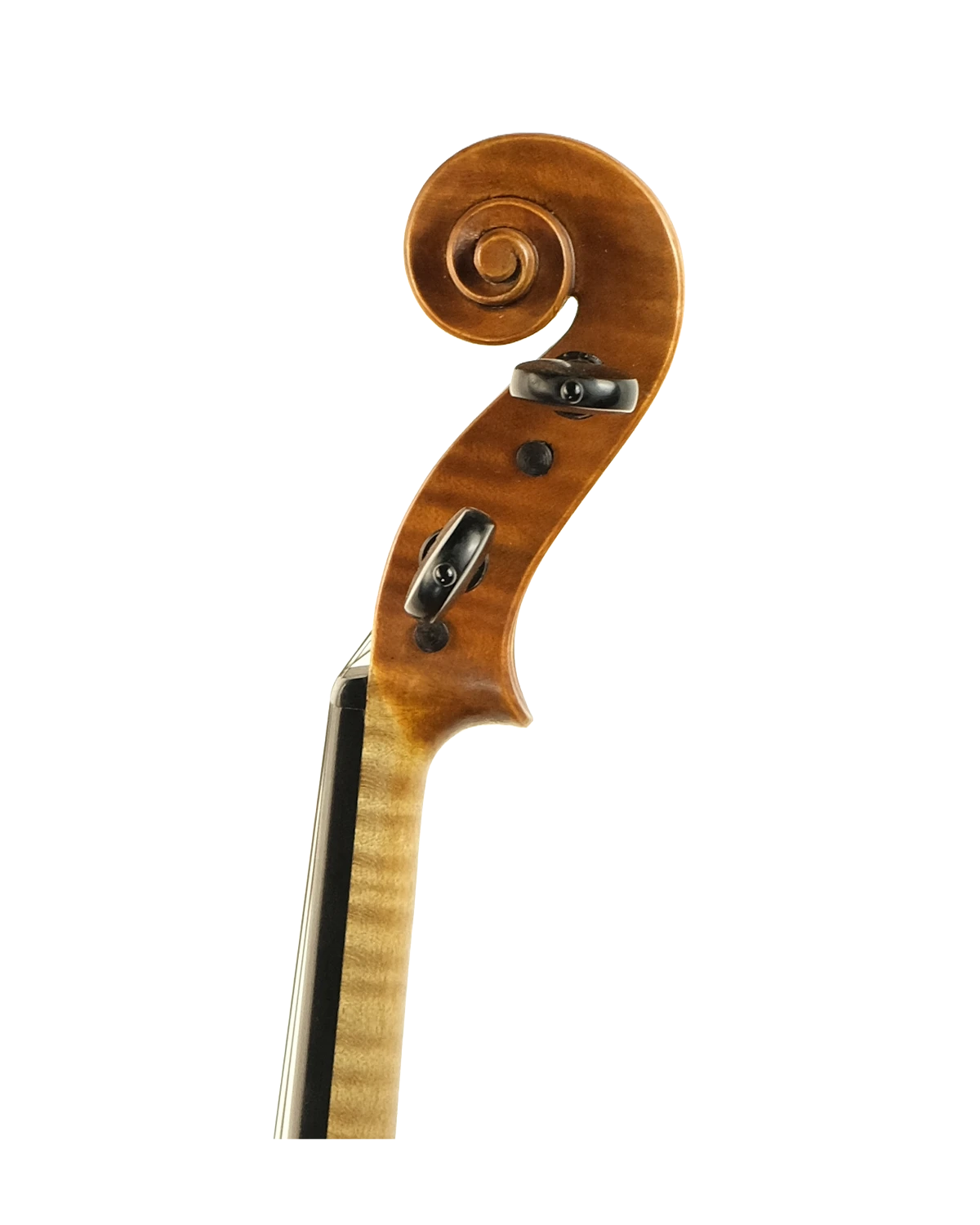 Scroll detail of Salvatore Costa violin, Palermo 1997