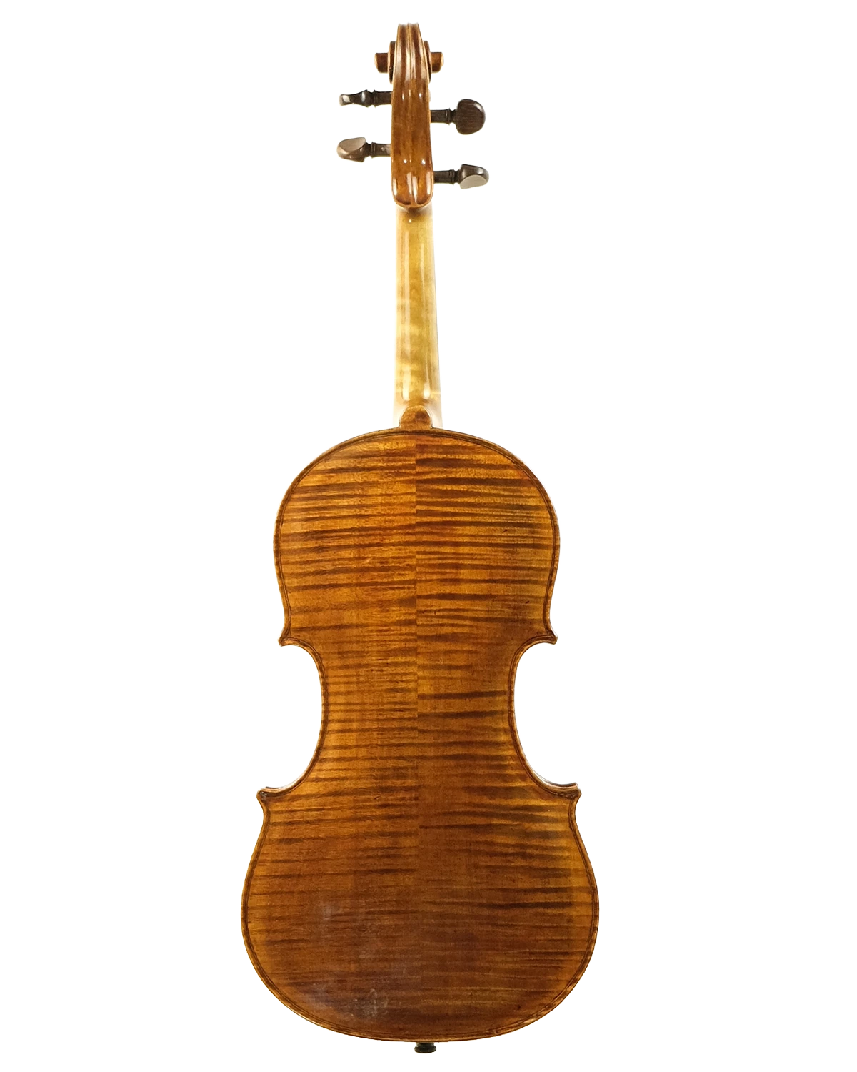Back of William Robinson violin, London 1931