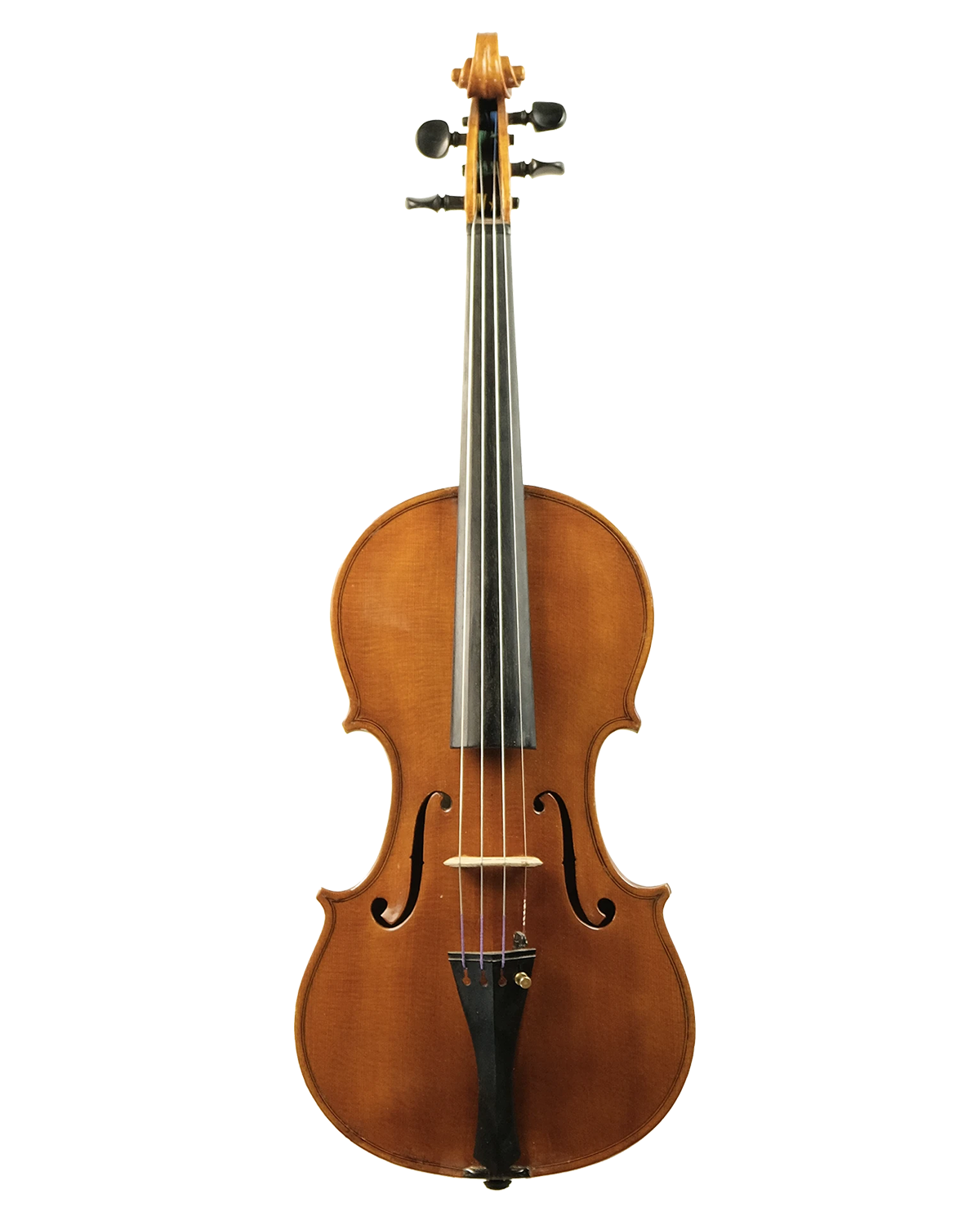 Violin by Alfredo Averna, Palermo circa 1970