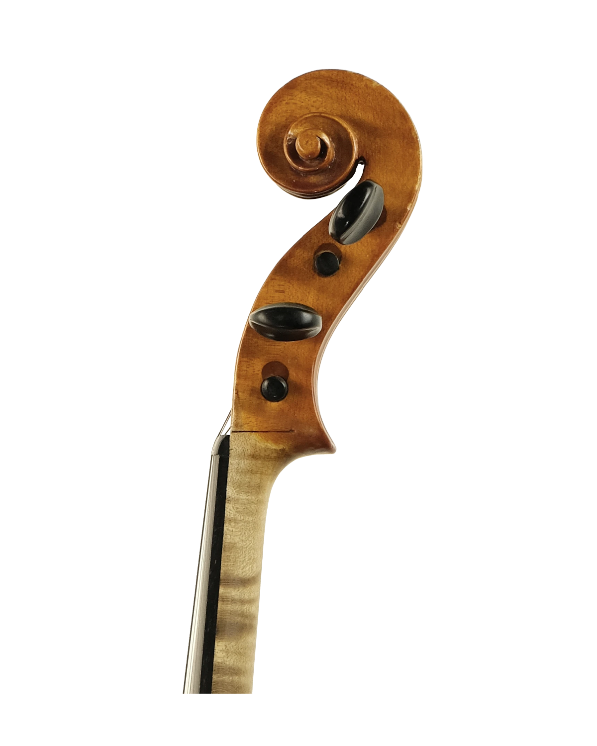 Scroll detail of Alfredo Averna violin, Palermo circa 1970
