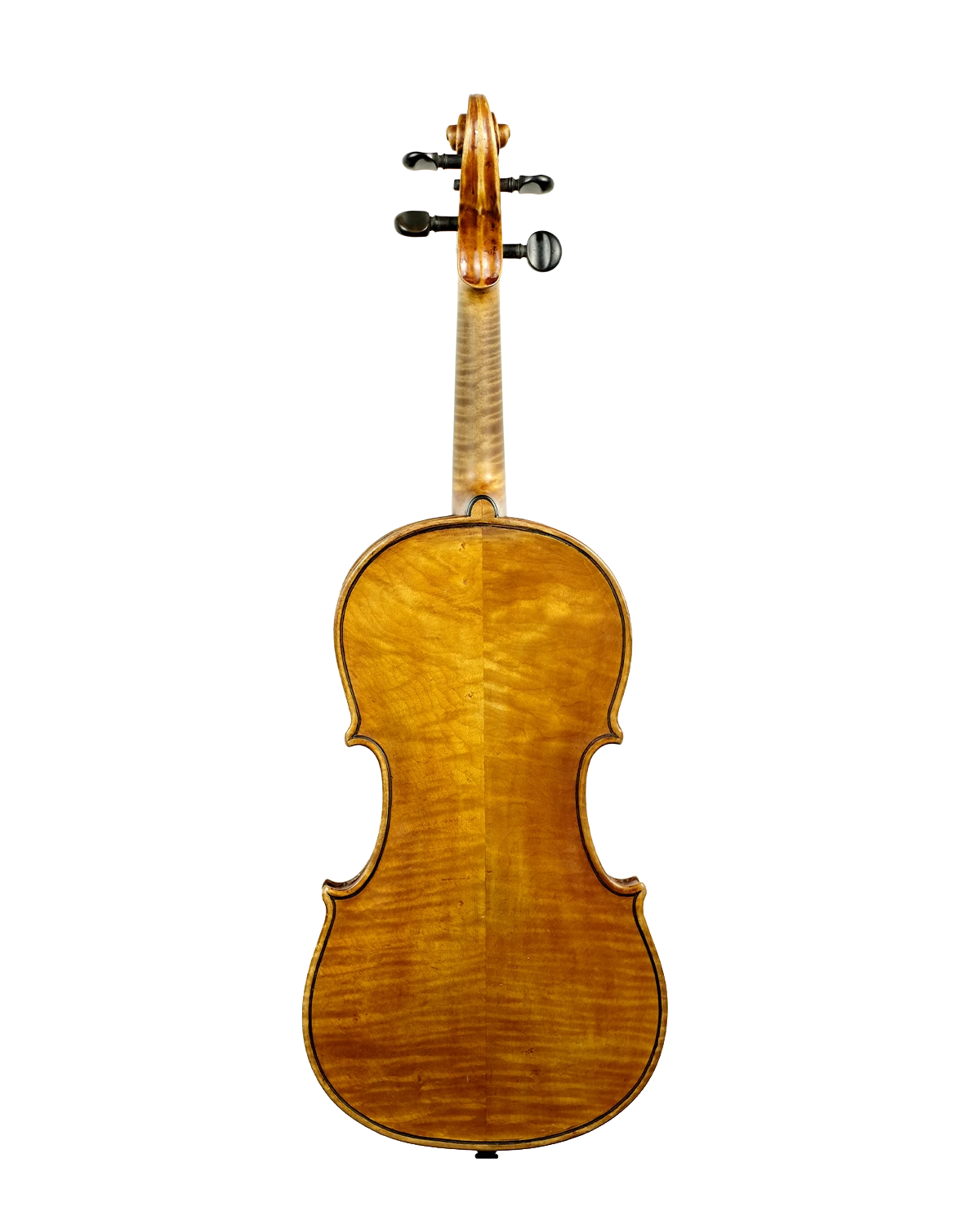 Back of Antonio Sgarbi violin, Rome 1895