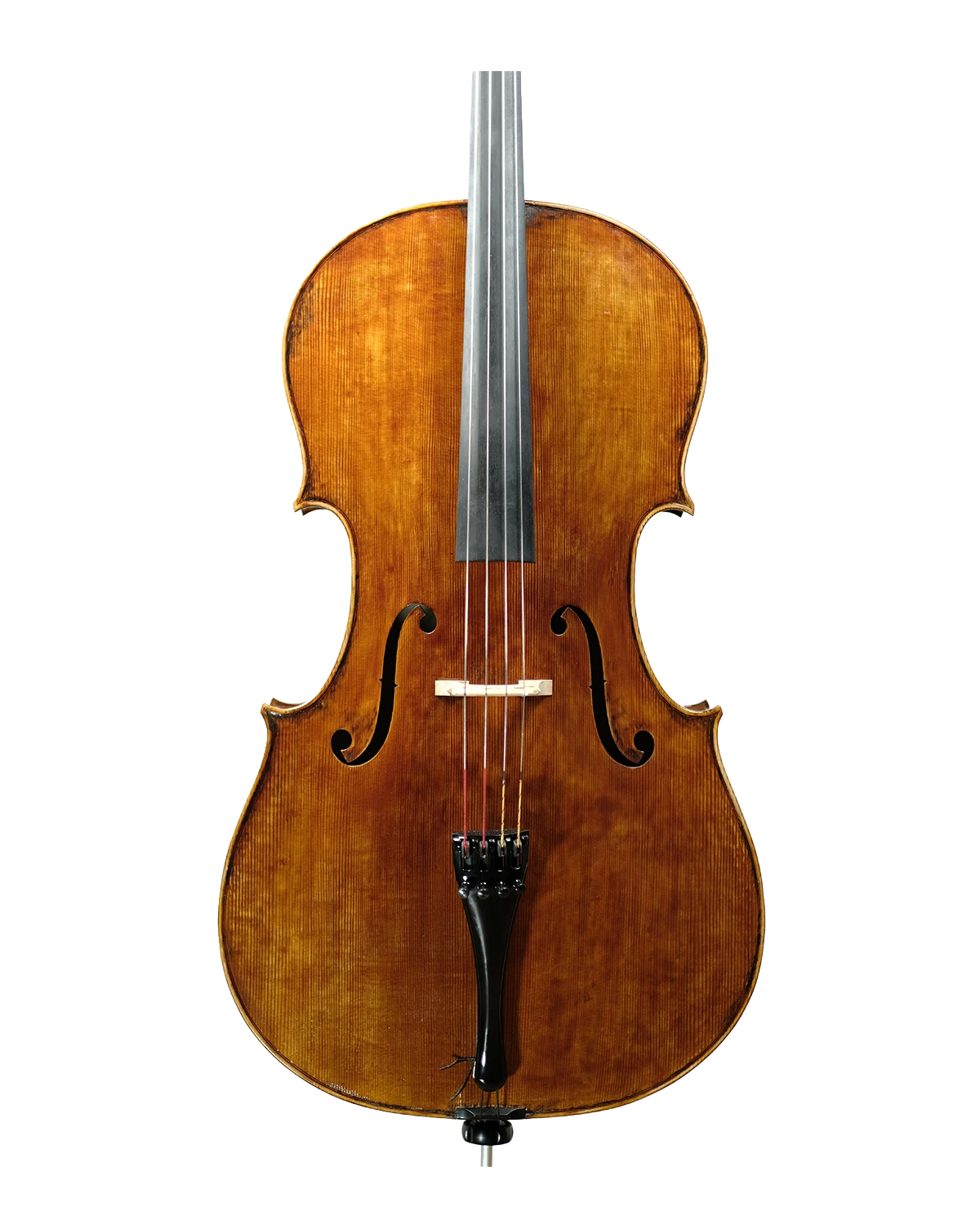Fabio Nicotra cello inspired by Alessandro Gagliano, Naples 1704, Palermo 2026