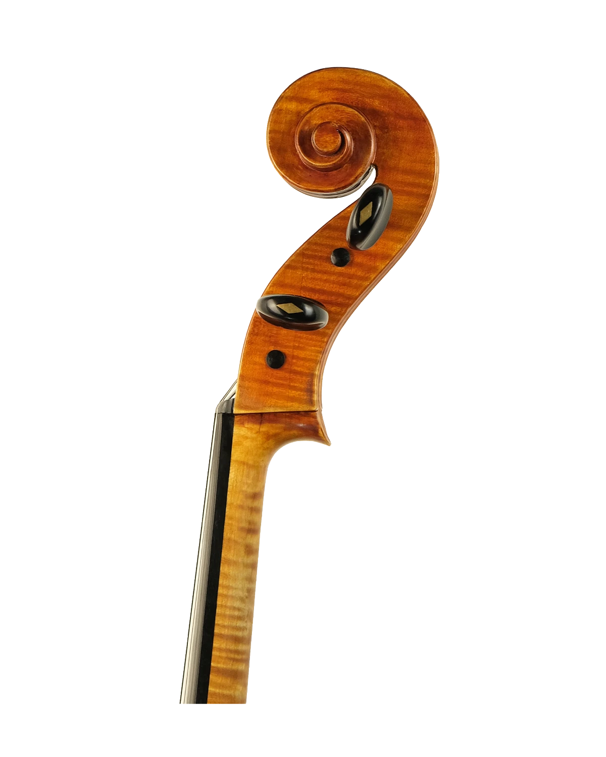 Scroll detail of Luigi Fratti cello, Palermo 1989