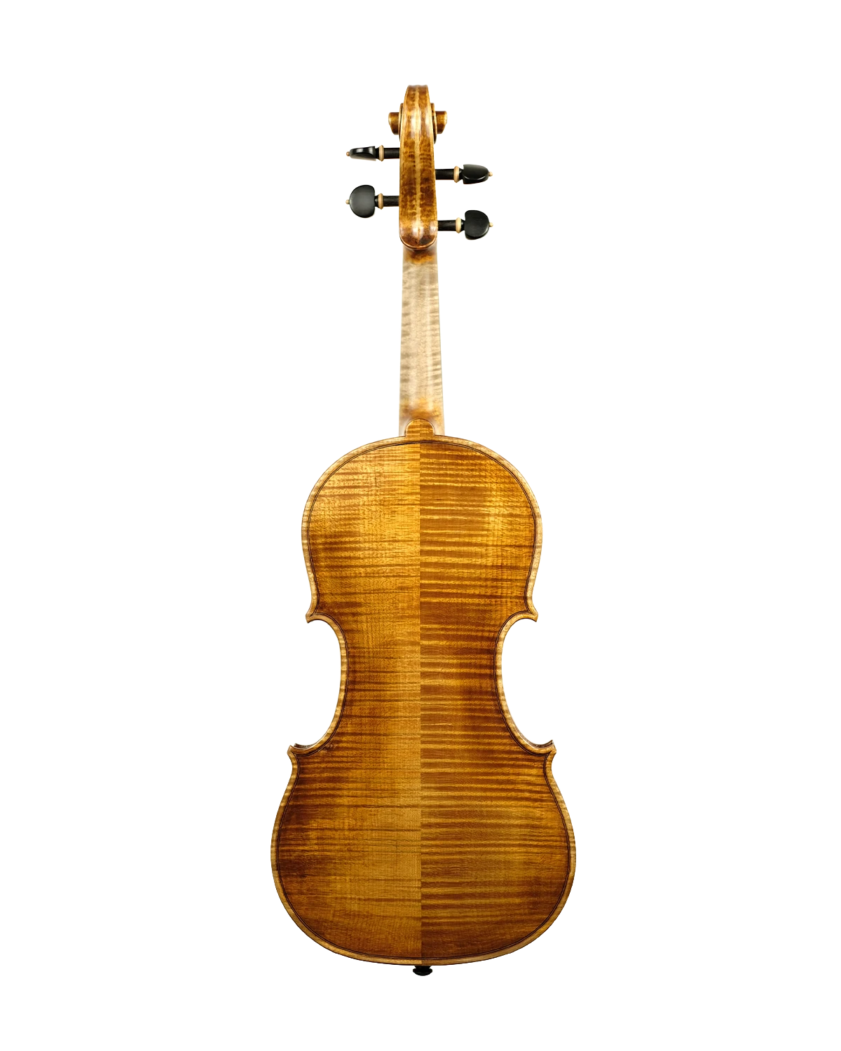 Back of Fabio Nicotra violin inspired by Giuseppe Guarneri del Gesù Vieuxtemps 1741, Palermo 2026