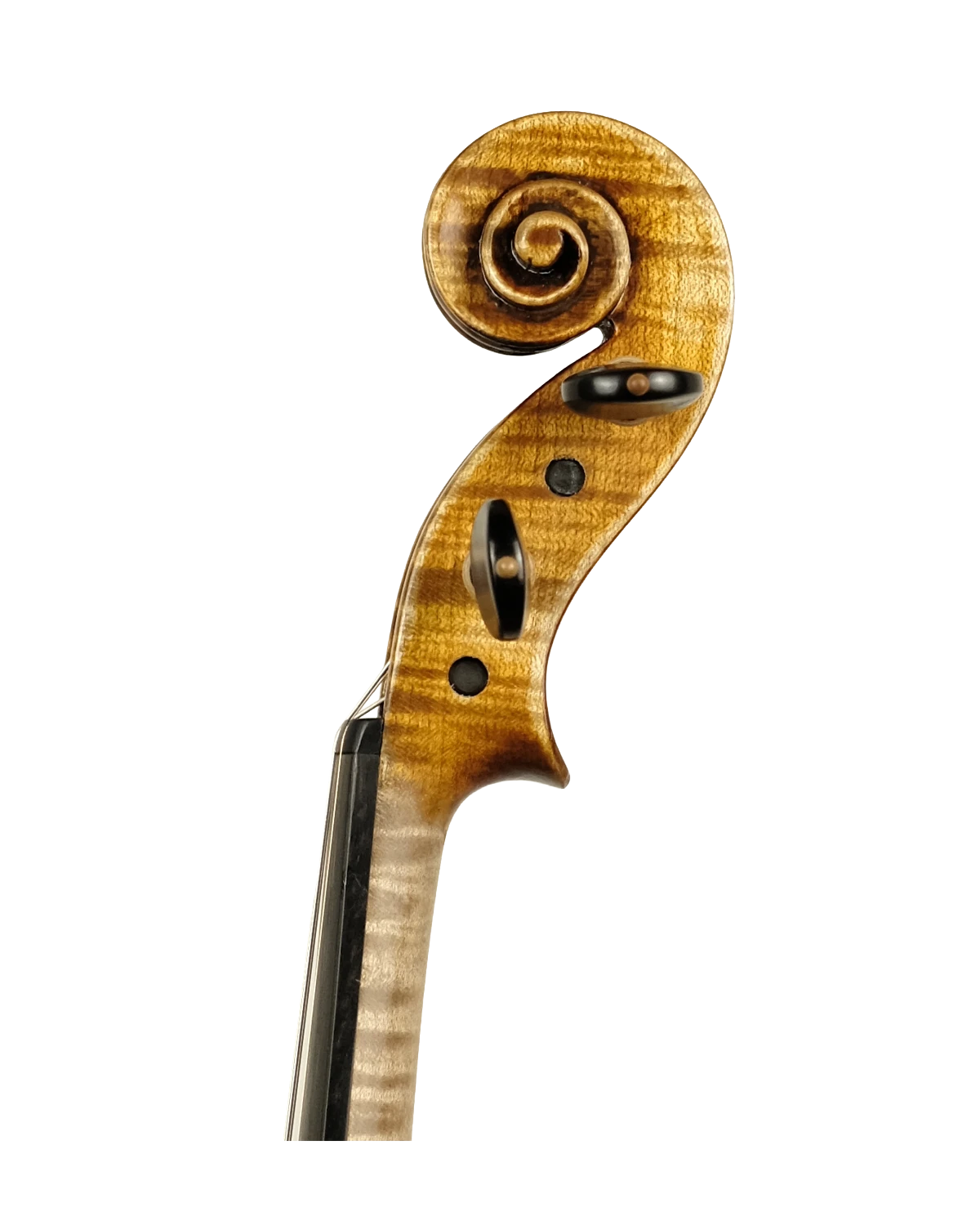 Scroll detail of Fabio Nicotra violin inspired by Giuseppe Guarneri del Gesù Vieuxtemps 1741, Palermo 2026