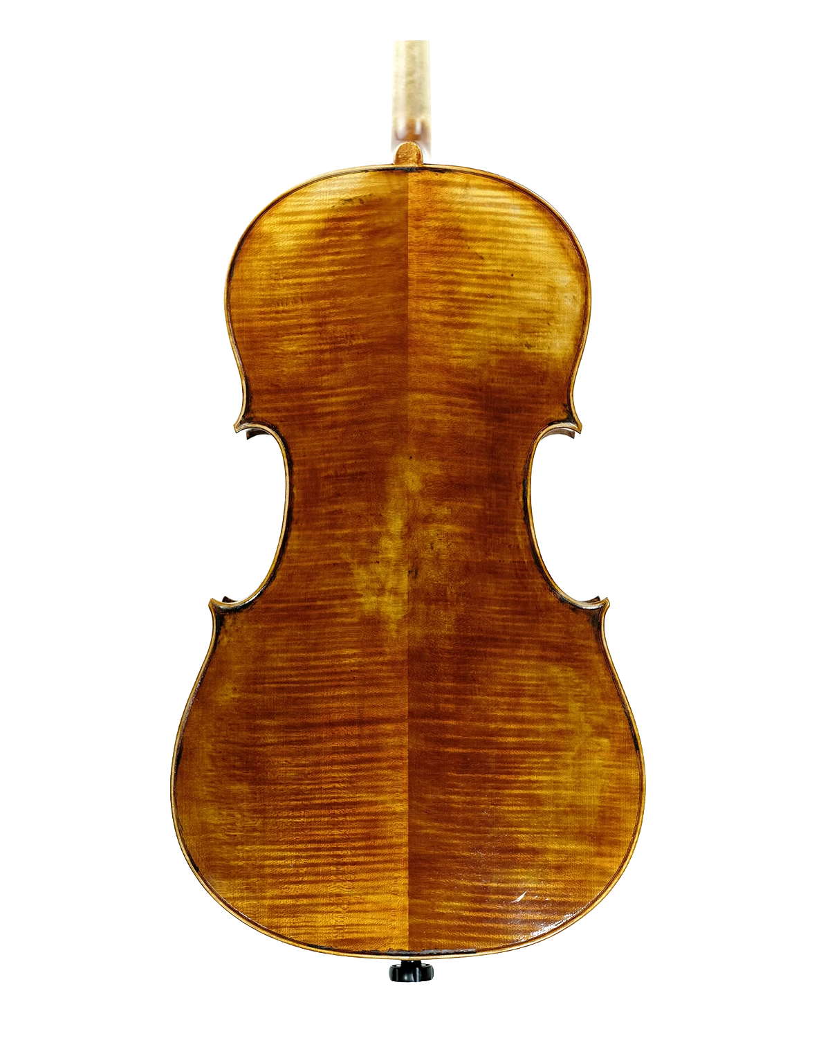 Back of Fabio Nicotra cello inspired by Alessandro Gagliano, Naples 1704, Palermo 2026