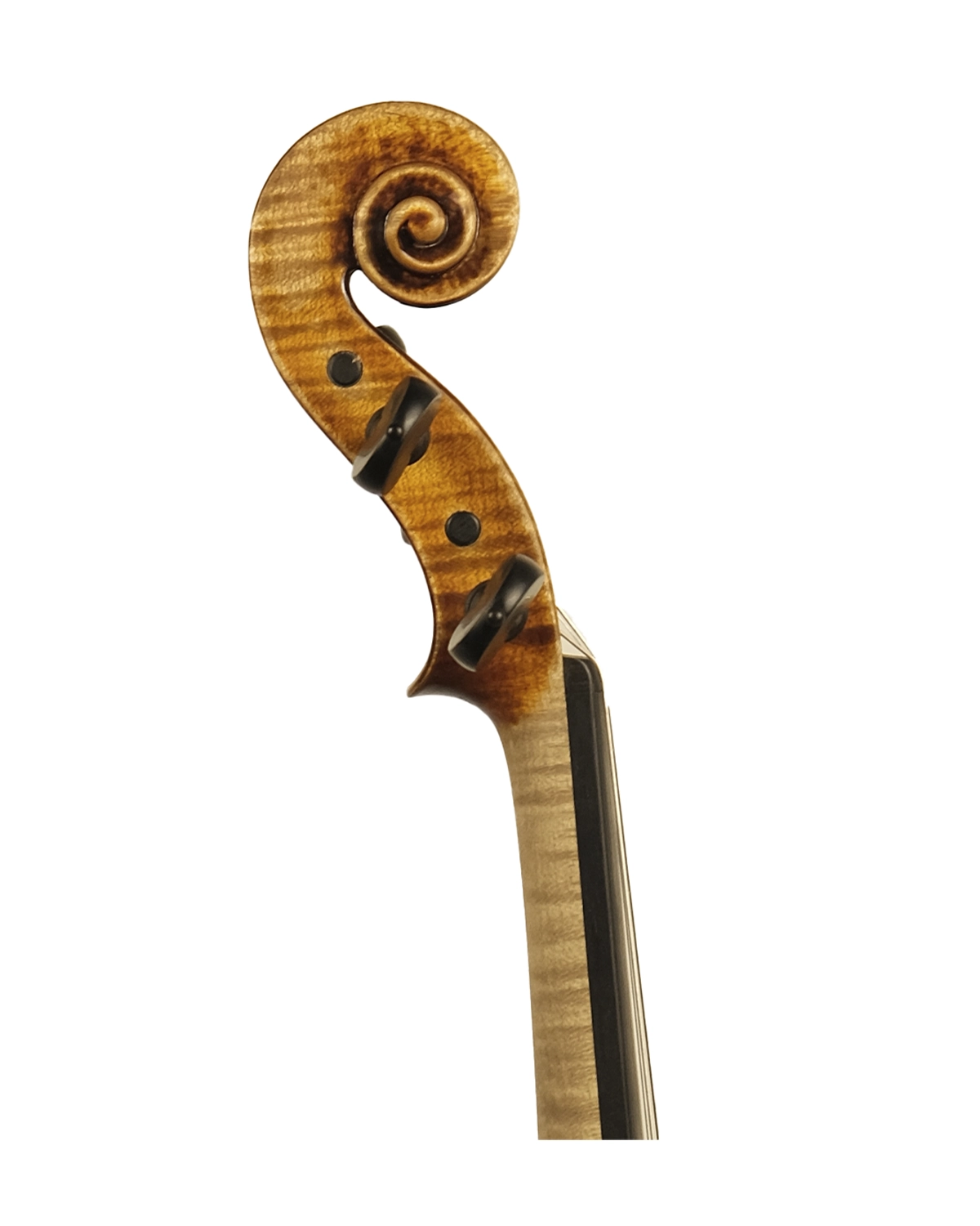 Scroll detail of Fabio Nicotra violin inspired by Guarneri del Gesù Kochanski, Palermo 2025
