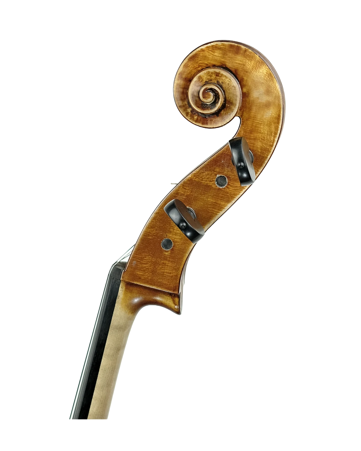 Scroll detail of Fabio Nicotra cello inspired by Alessandro Gagliano, Naples 1704, Palermo 2026