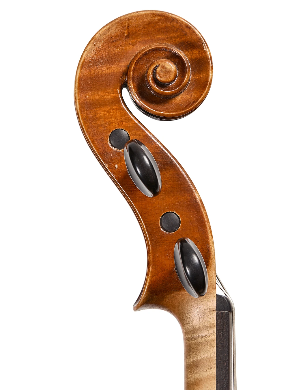 Scroll detail of Julius Hempel violin, Hamburg 1928