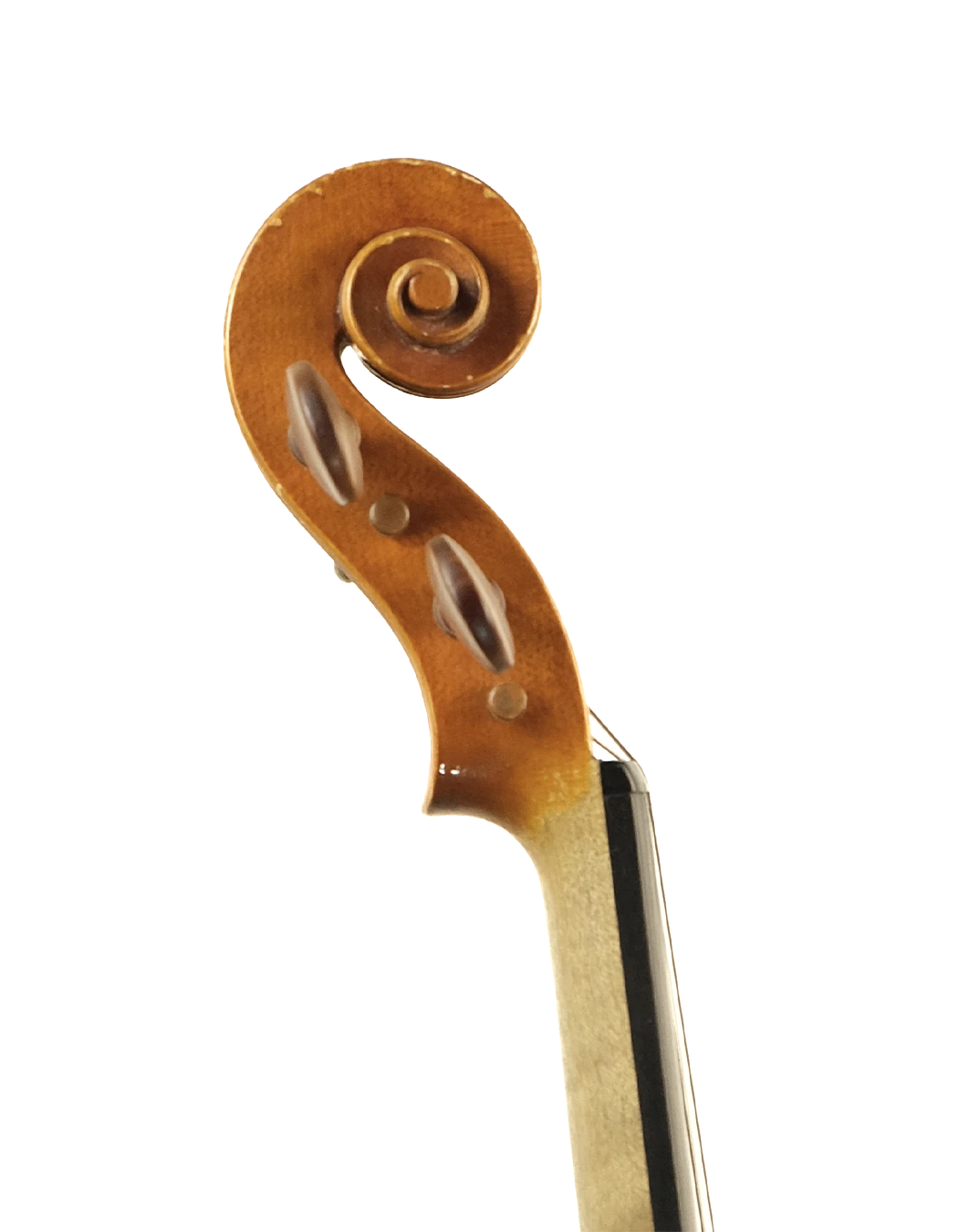 Scroll detail of Alberto Denti violin, Cremona 2002