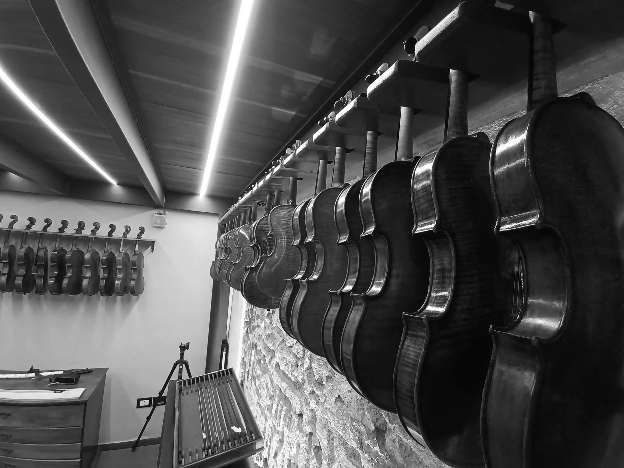 Antique and fine string instruments at the Fabio Nicotra atelier in Palermo