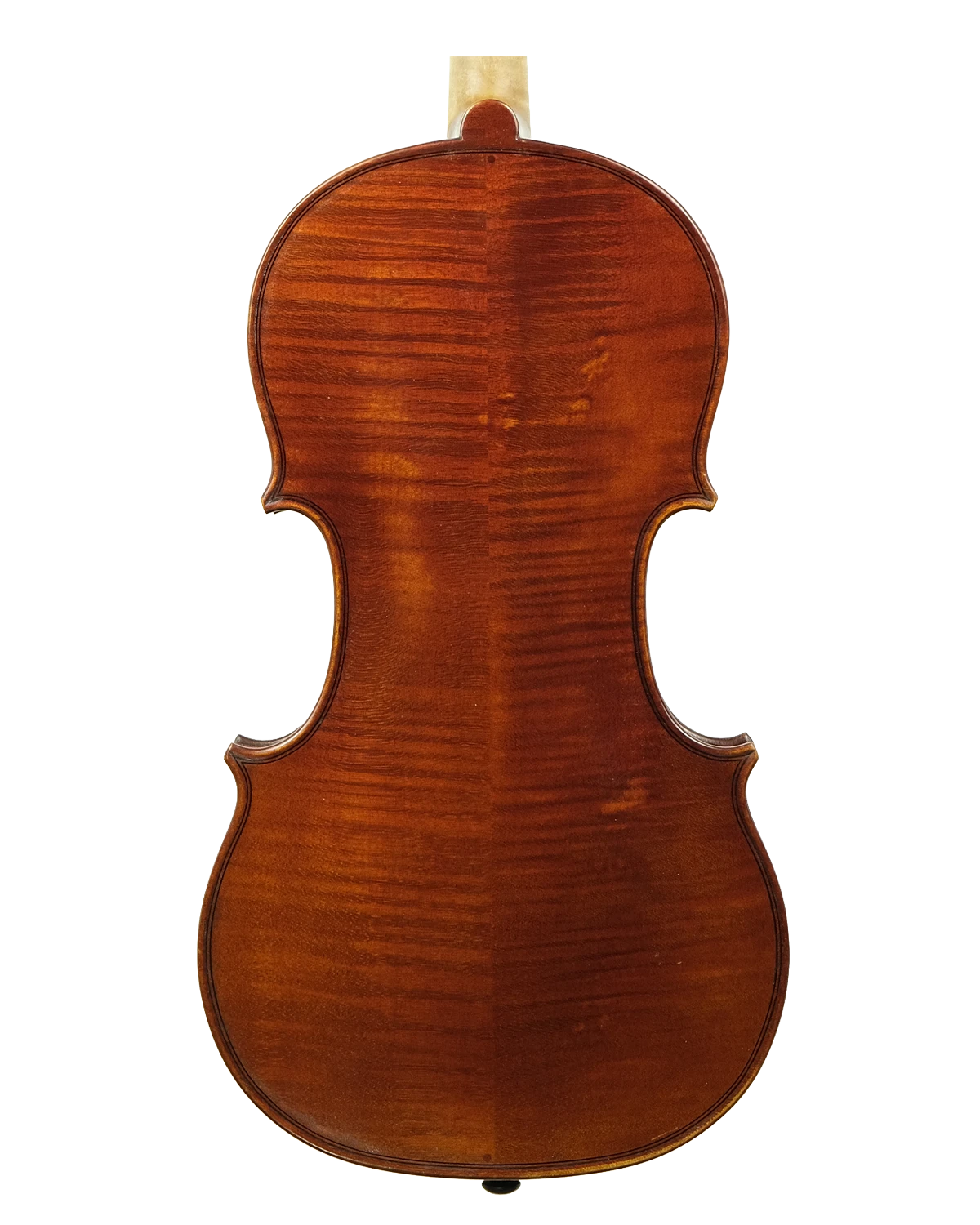 Back of Georges Apparut violin, Mirecourt 1942