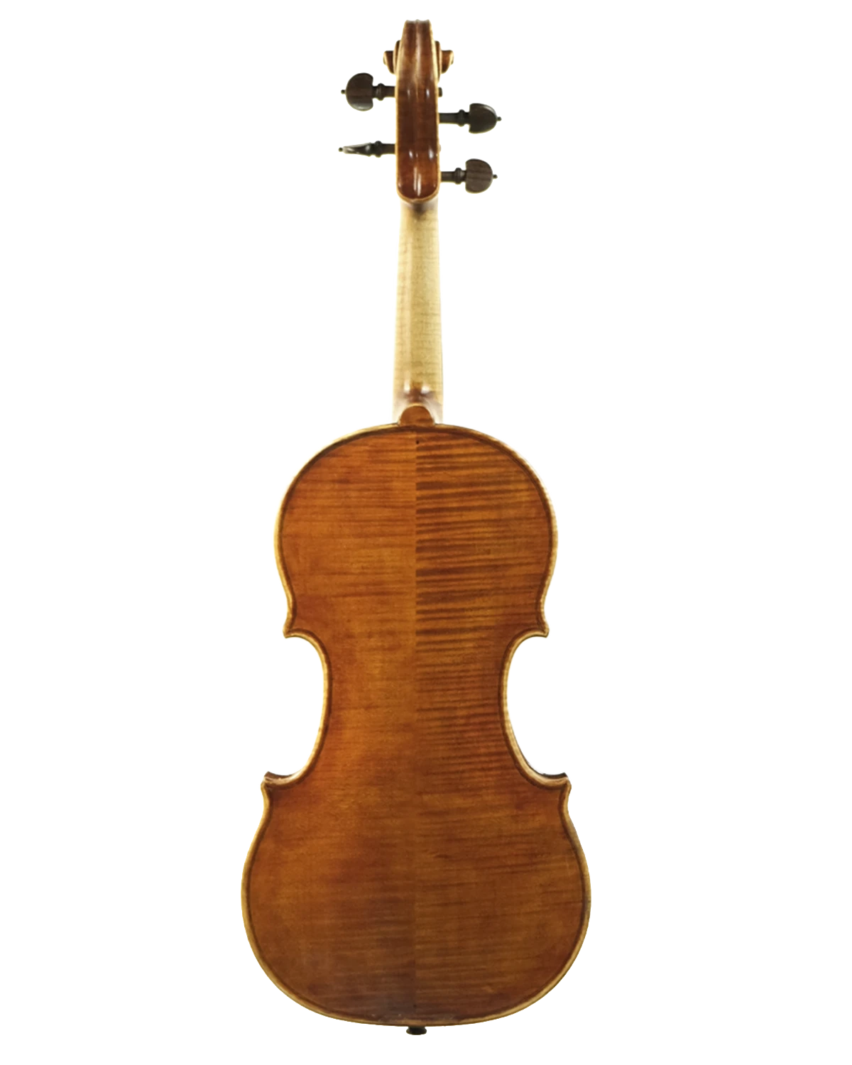Back of Giovanni Osvaldo Fiori violin, Treviso 2020