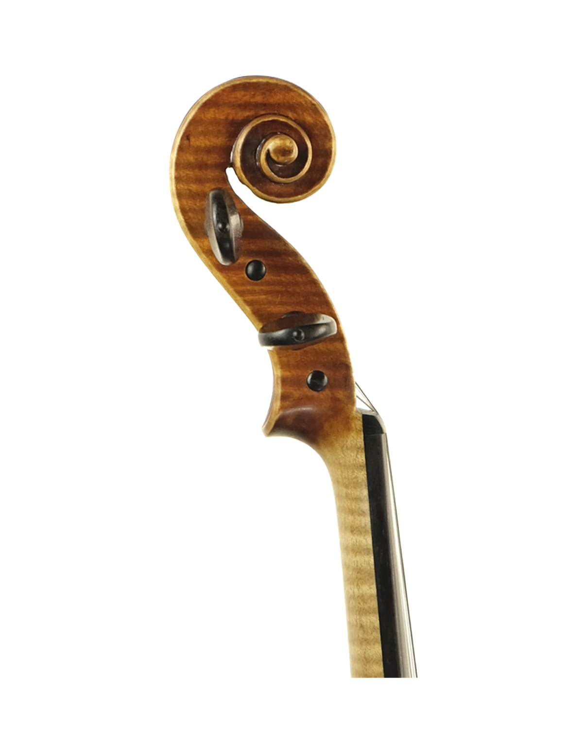 Scroll detail of Giovanni Osvaldo Fiori violin, Treviso 2020