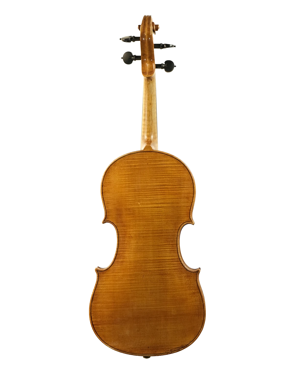 Back of early 20th-century violin