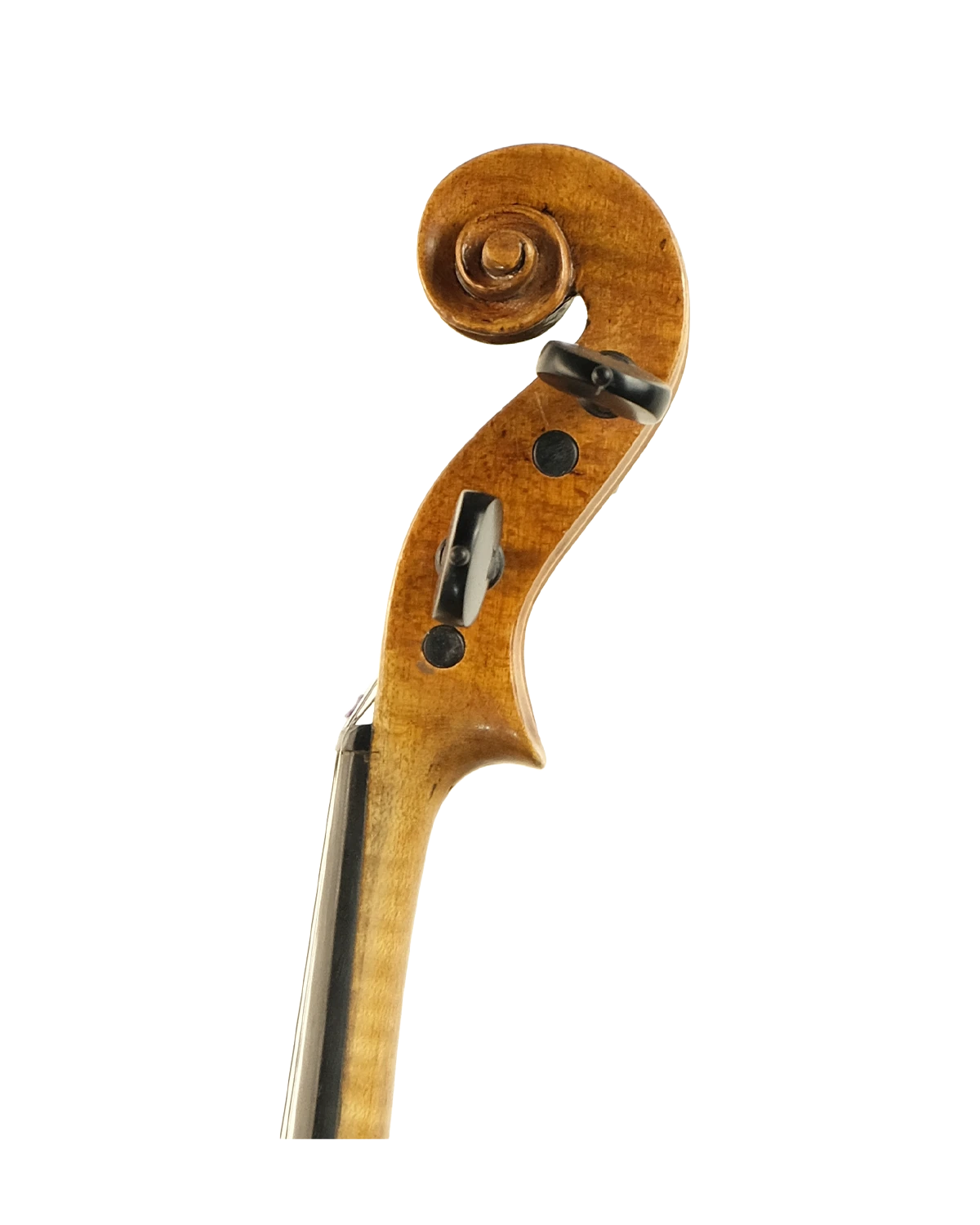 Scroll detail of early 20th-century violin